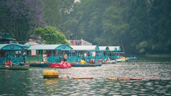 Mesmerizing Coorg and Ooty Tour