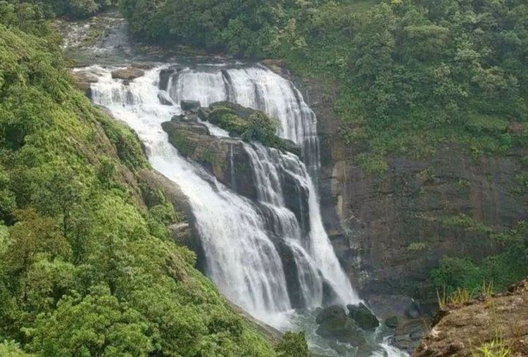 Mesmerizing Coorg and Ooty Tour