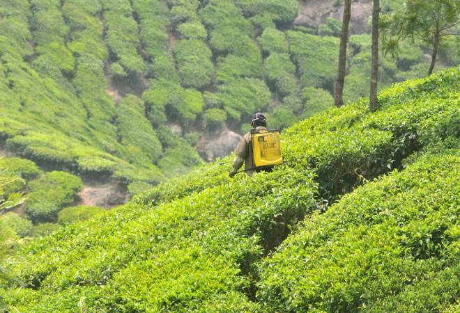 3 Nights and 4 Days Kerala Tour