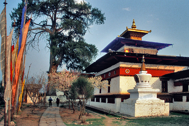 Dynamic Bhutan Tour (5 Nights & 6 Days)