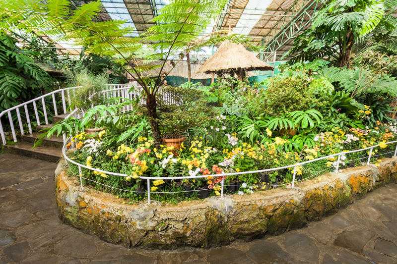 Beautified Hills of Northeast! 5 Nights & 6 Days Tour