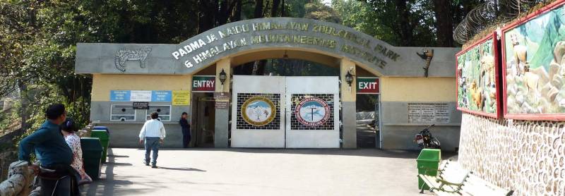 Queens of Northeast 6 Night 7 Days Tour