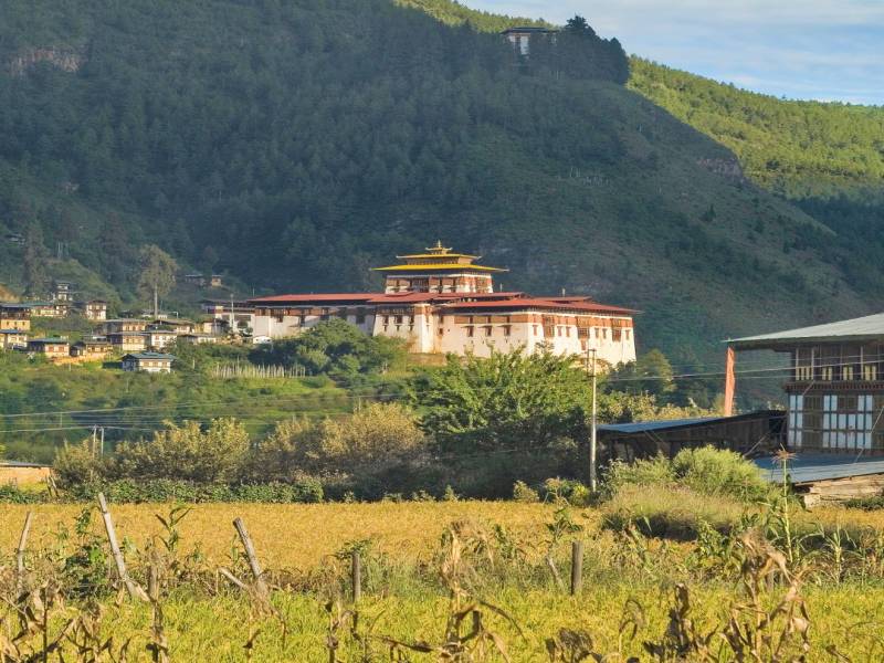 4 Nights and 5 Days By India Bhutan Tours | Best Bhutan Travel Agent