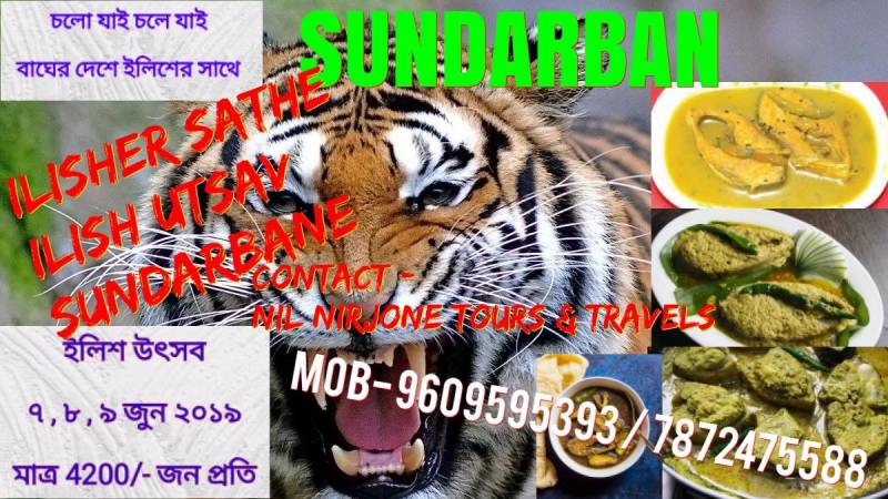 Sunderban