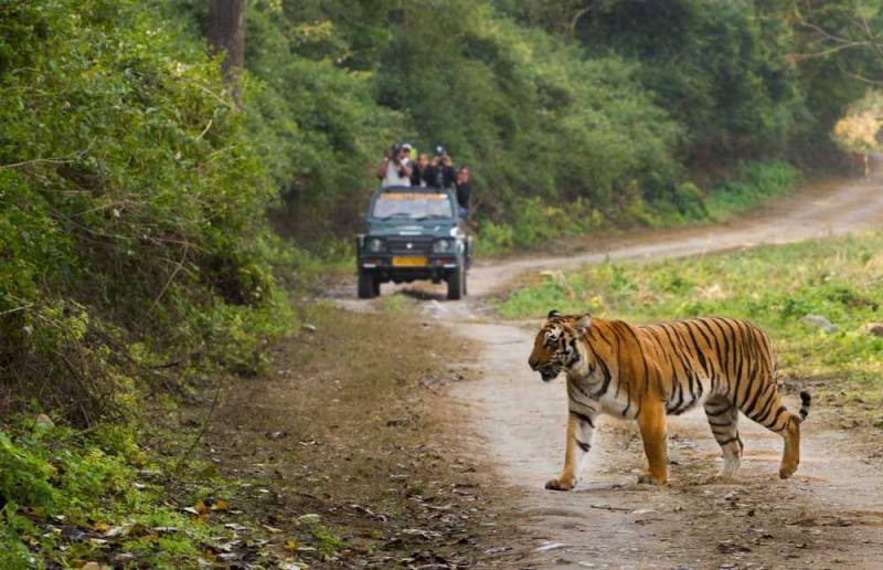 3 Nights 4 Days Satkosia Tour Package