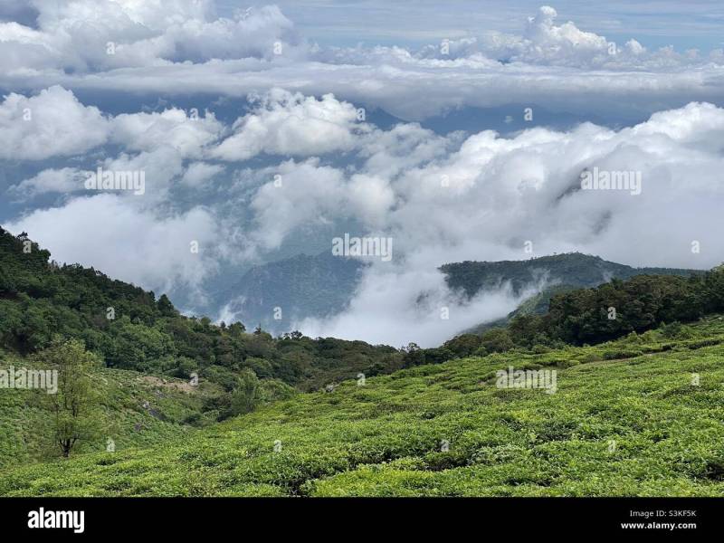 5 Night 6 Days Ooty  Tour Packages