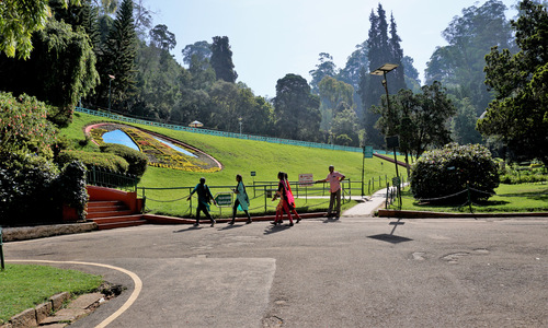 5 Night 6 Days Ooty  Tour Packages