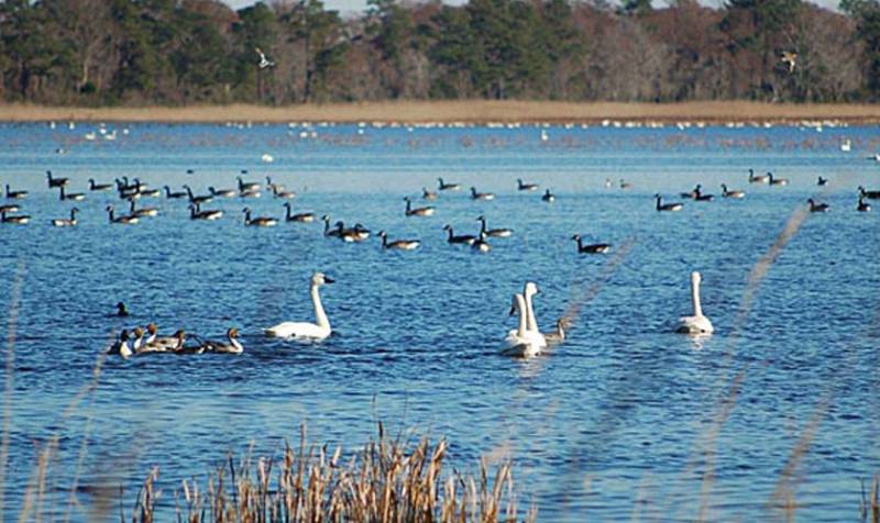 4 Night - 5 Days Odisha Tour Package