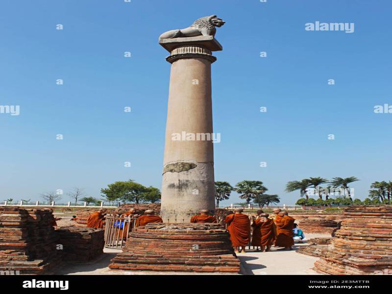 7 Days Buddhist Sector Tour