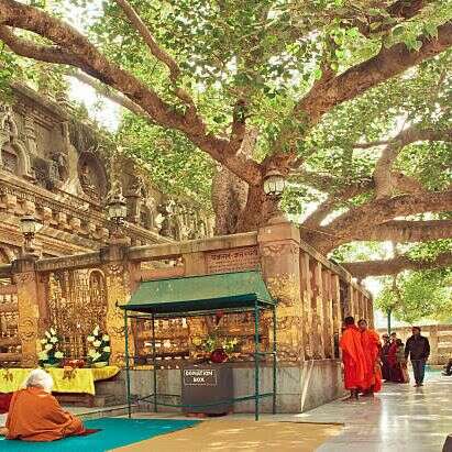 7 Days Buddhist Sector Tour