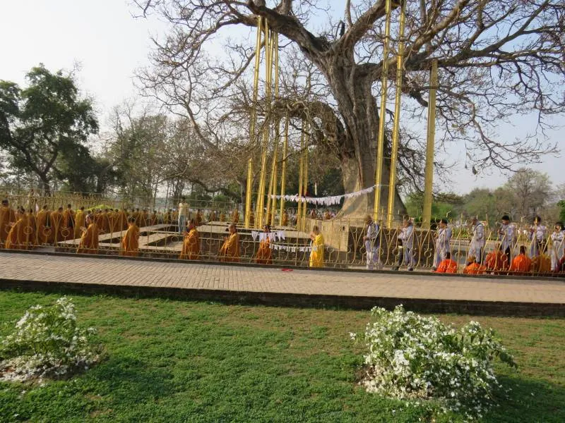 7 Days Buddhist Sector Tour