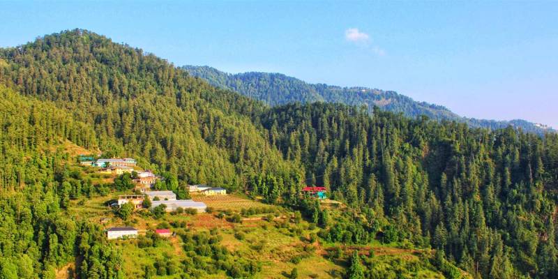 4N - 5D Himachal Pradesh Tour Shimla