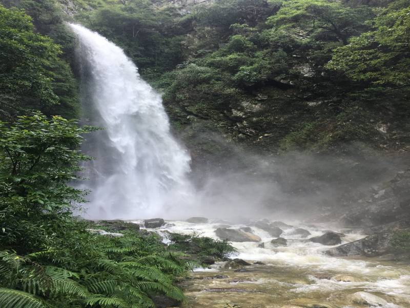 Tirthan Valley Bliss – 4N 5D Escape from Chandigarh