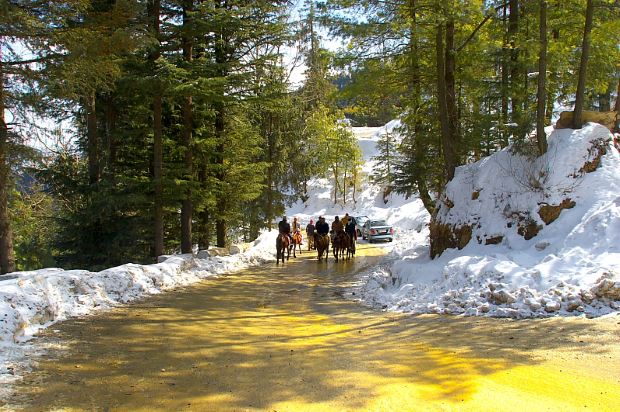 2N - 3D Himachal Pradesh Tour Shimla