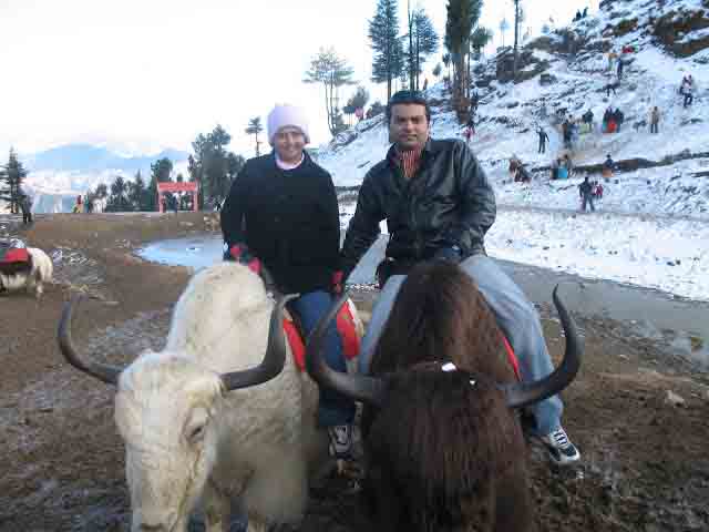 2N - 3D Himachal Pradesh Tour Shimla