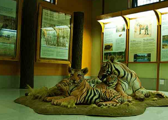 3N/4D Nainital & Jim Corbett National Park Tour package