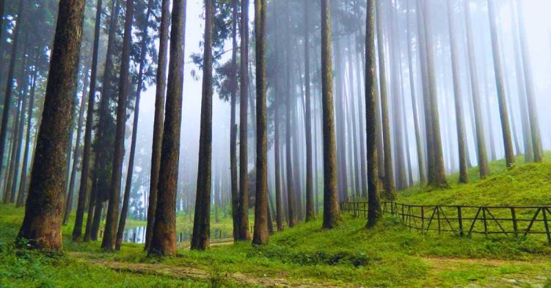 Darjeeling Mirik Tour Package – 3 Nights 4 Days Ex Bagdogra NJP