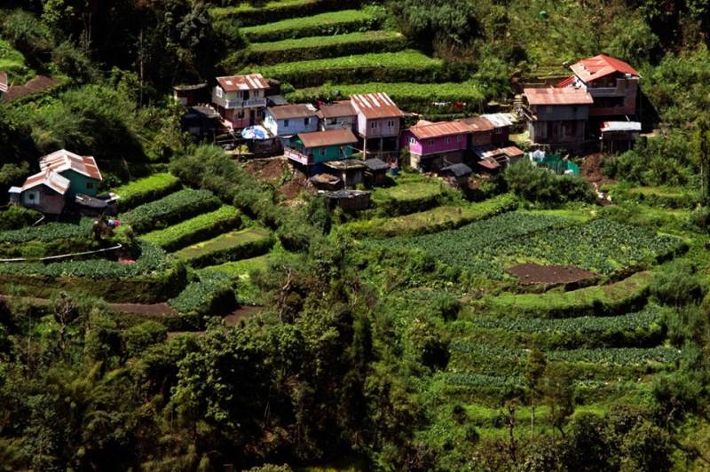 Darjeeling Mirik Tour Package – 3 Nights 4 Days Ex Bagdogra NJP