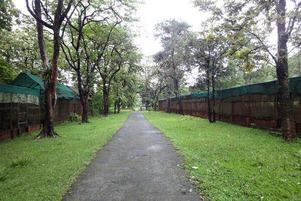 7 Days Family Tour – Nameri -Dirang - Tawang - Bomdila from Guwahati