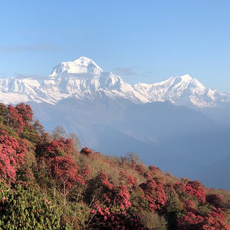 Annapurna Base Camp Trekking