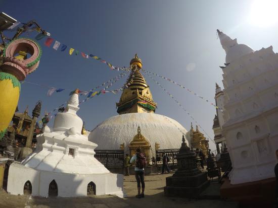 Kathmandu Chitwan Pokhara Tour