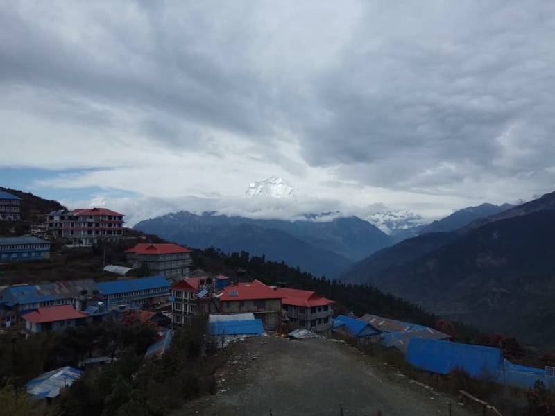 Ghorepani Poon Hill Trek with Wildlife Adventure