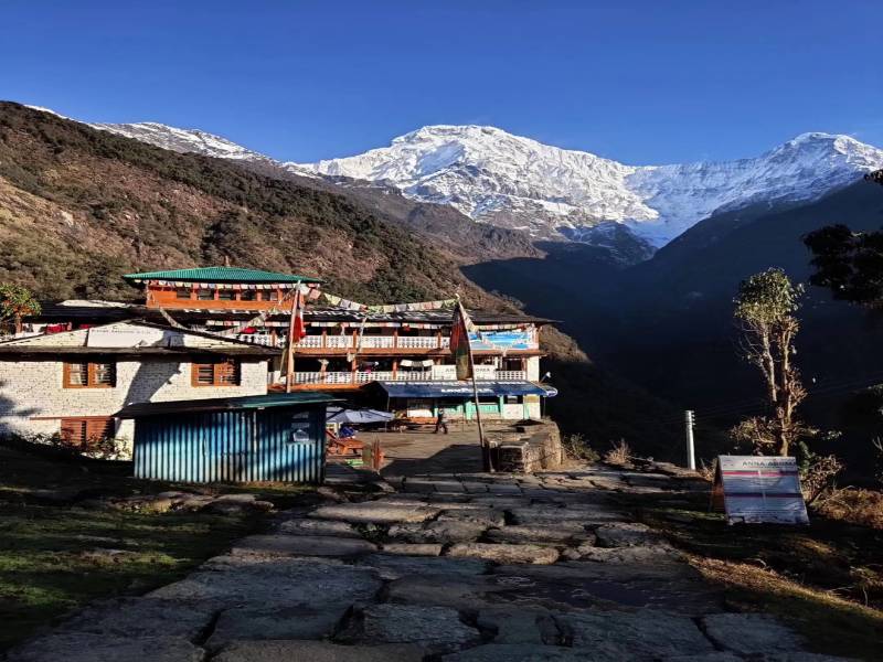 Ghorepani Poon Hill Trek with Wildlife Adventure