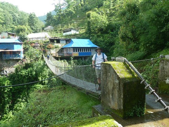 Ghorepani Poon Hill Trek with Wildlife Adventure