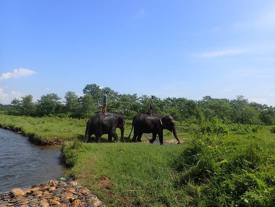 Ghorepani Poon Hill Trek with Wildlife Adventure