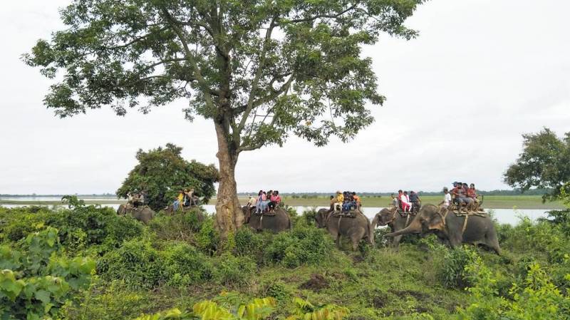 Kaziranga Tour 4 Days