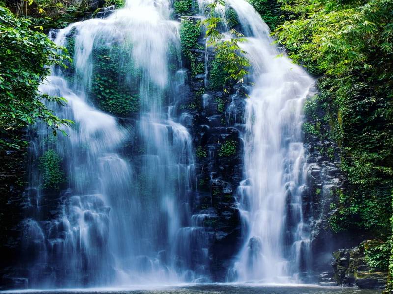 Kaziranga Off-season Tour 5d 4n