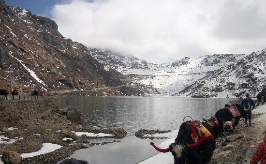 Gangtok, North Sikkim, Pelling Tour Package