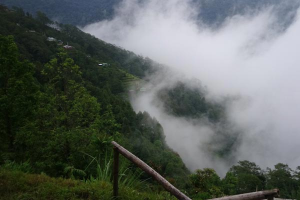 Bhutan 7 Night 8 Days Tour Packages