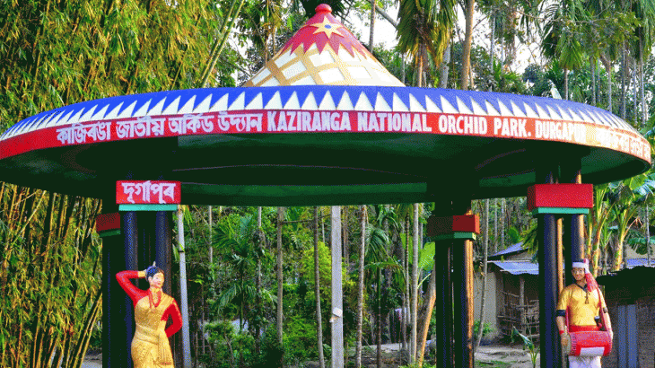 Best Meghalaya & Assam Tour