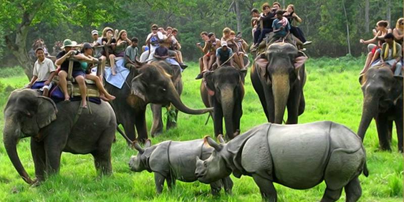 Guwahati, Shillong & Kaziranga Tour
