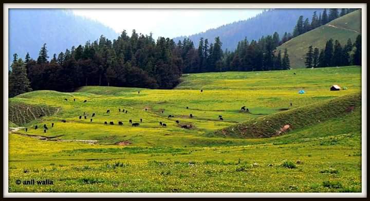 Chandernahan Lake tour