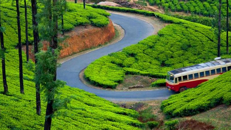 Kerala Delight with Air Fare