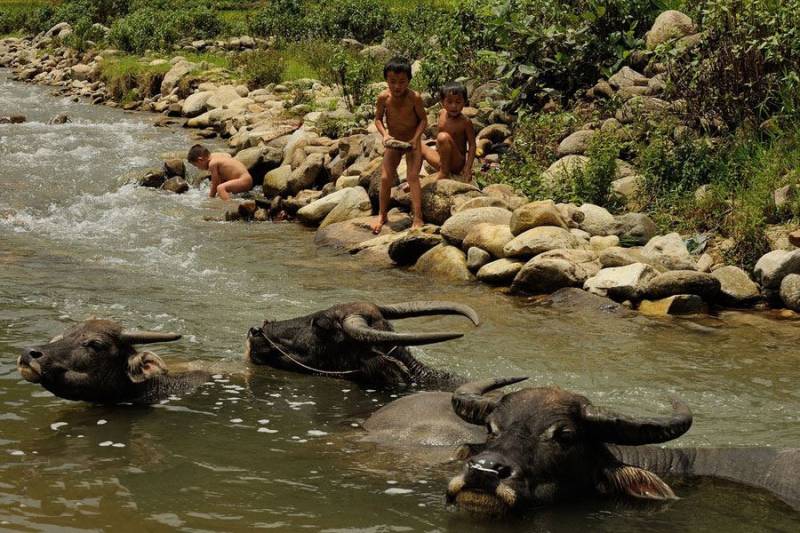 Sapa 3 Days 2 Nights Trekking Tour from Hanoi (2 Nights in Hotel)