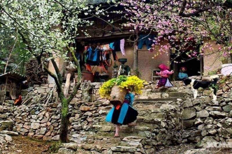 Sapa 3 Days 2 Nights Trekking Tour from Hanoi (2 Nights in Hotel)