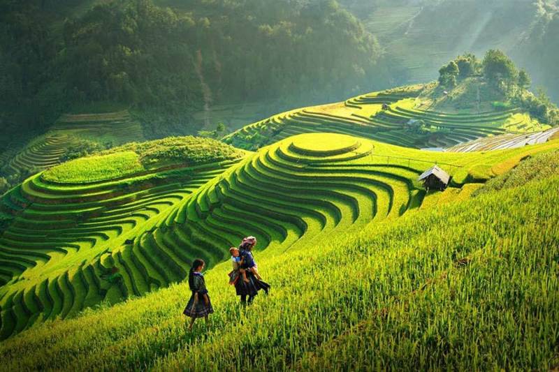 Sapa 3 Days 2 Nights Trekking Tour from Hanoi (2 Nights in Hotel)