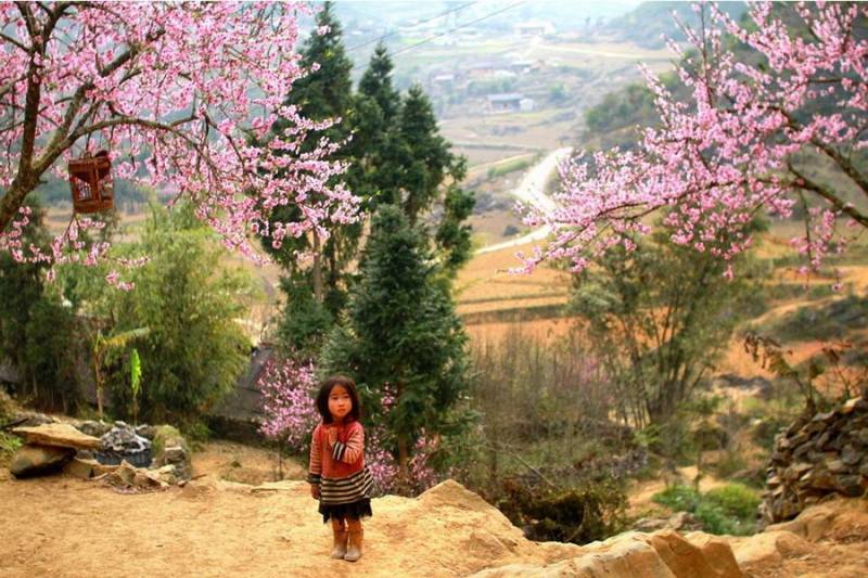 Sapa 3 Days 2 Nights Trekking Tour from Hanoi (2 Nights in Hotel)