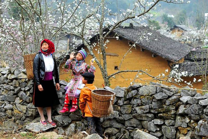 Sapa 3 Days 2 Nights Trekking Tour from Hanoi (2 Nights in Hotel)