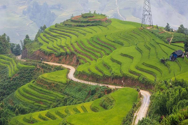Sapa 3 Days 2 Nights Trekking Tour from Hanoi (2 Nights in Hotel)