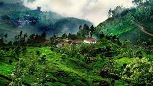 3 Days Coorg Tour Package