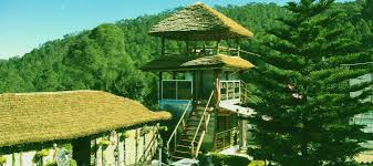 7 Nights 8 Days Uttarakhand Package (Min for 05 Adults )