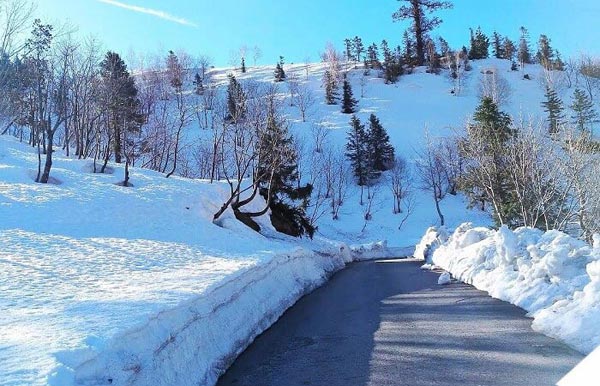 4 Night 5 Day Shimla Manali By Cab