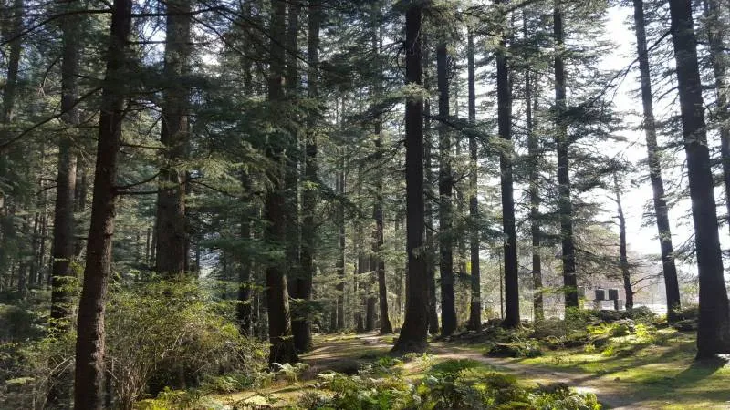 4 Night 5 Days Shimla Manali Tour Package