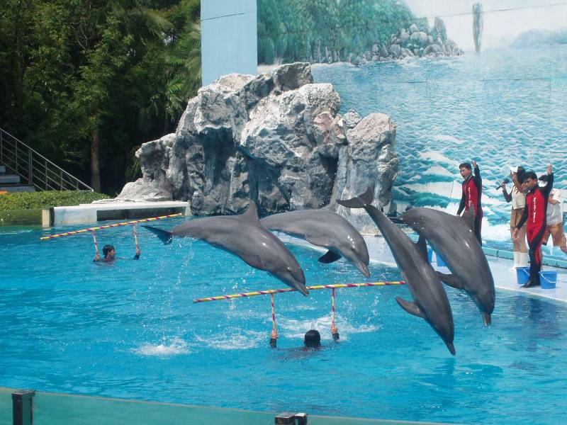 Thailand - 4 Nights 5days Tour