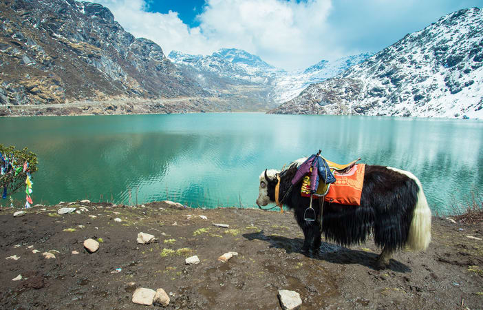 Gangtok, Lachung, Darjeeling Tour