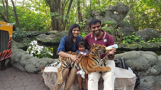 Thailand Honeymoon Tour